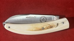 Aurhalpin Ivoire de Phacochère