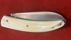 Aurhalpin Ivoire de Phacochère