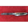 Couteaux d'Amis Mammouth Bleu