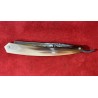 Coupe Choux Corne Blonde n°2
