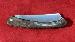 Fuji Manguier