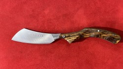 Le Phasme Bocote