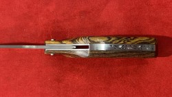 Le Phasme Bocote