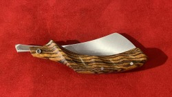 Le Phasme Bocote