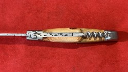 12 cm TB Genévrier