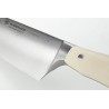 Filet de Sole 16cm