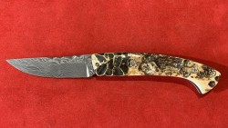Mammouth/Bronze & Damas