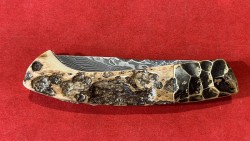 Mammouth/Bronze & Damas