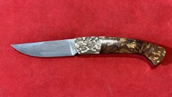 Hêtre échauffé/Bois de Cerf & Damas