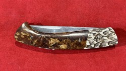 Hêtre échauffé/Bois de Cerf & Damas