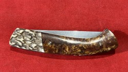 Hêtre échauffé/Bois de Cerf & Damas