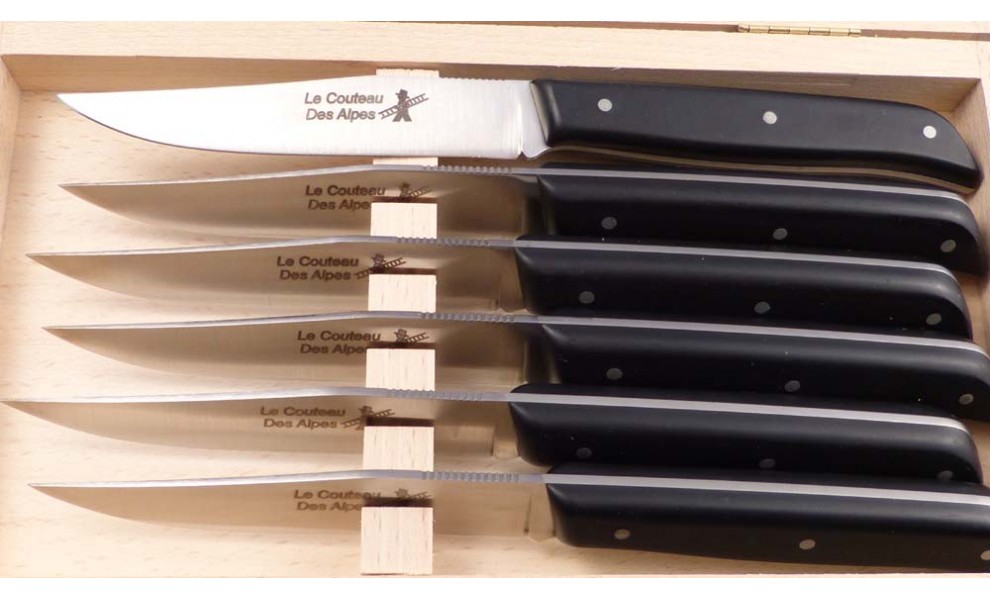 Coffret de 6 couteaux de table spécial lave-vaisselle